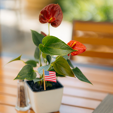 American flag in pot